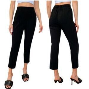 Aritzia Babaton Conan Pants